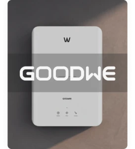 Goodwe